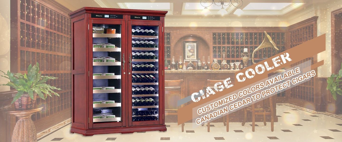Refrigerador de vinho de cozinha